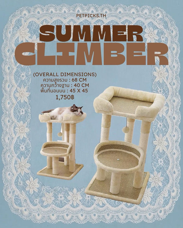 Summer Climber